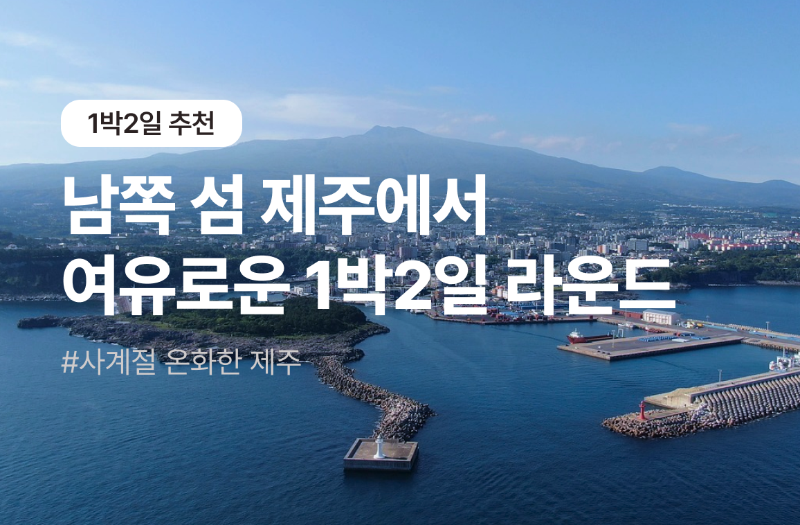 제주도 이동 배너