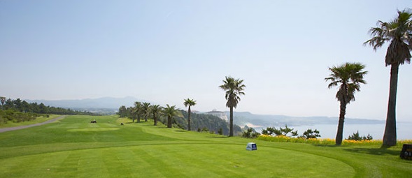 중문(홈페이지)