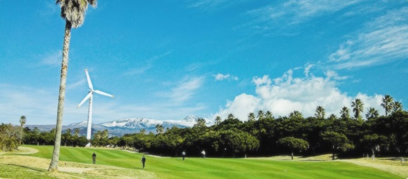 중문(홈페이지)